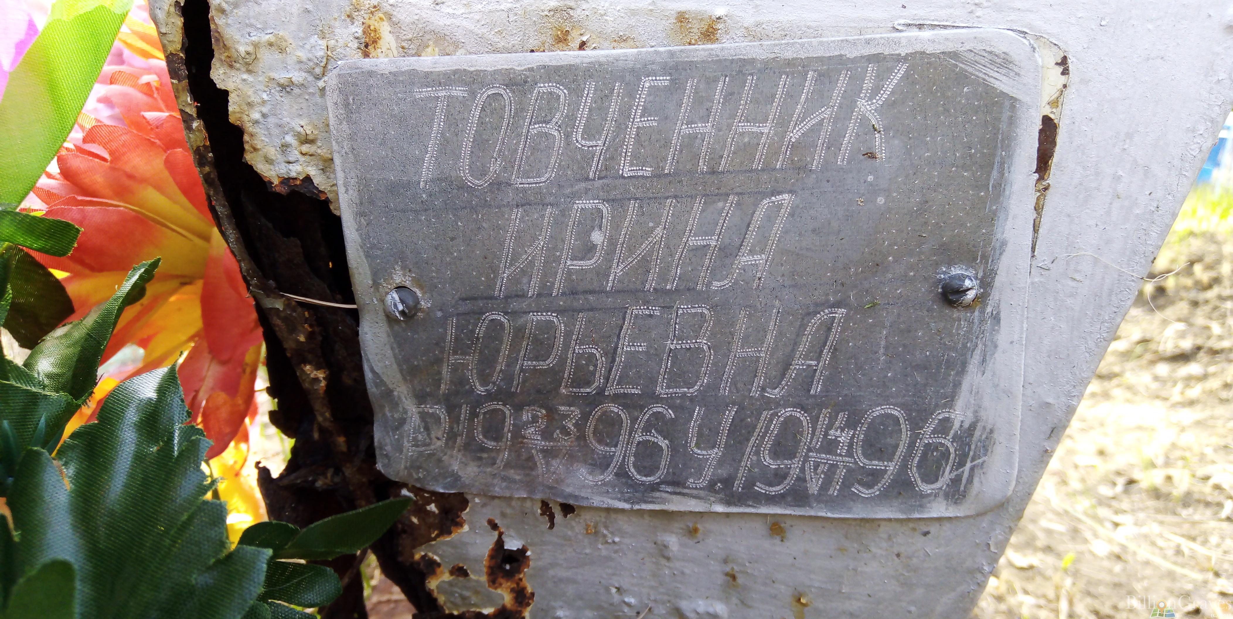 Товченник Ирина Юрьевна