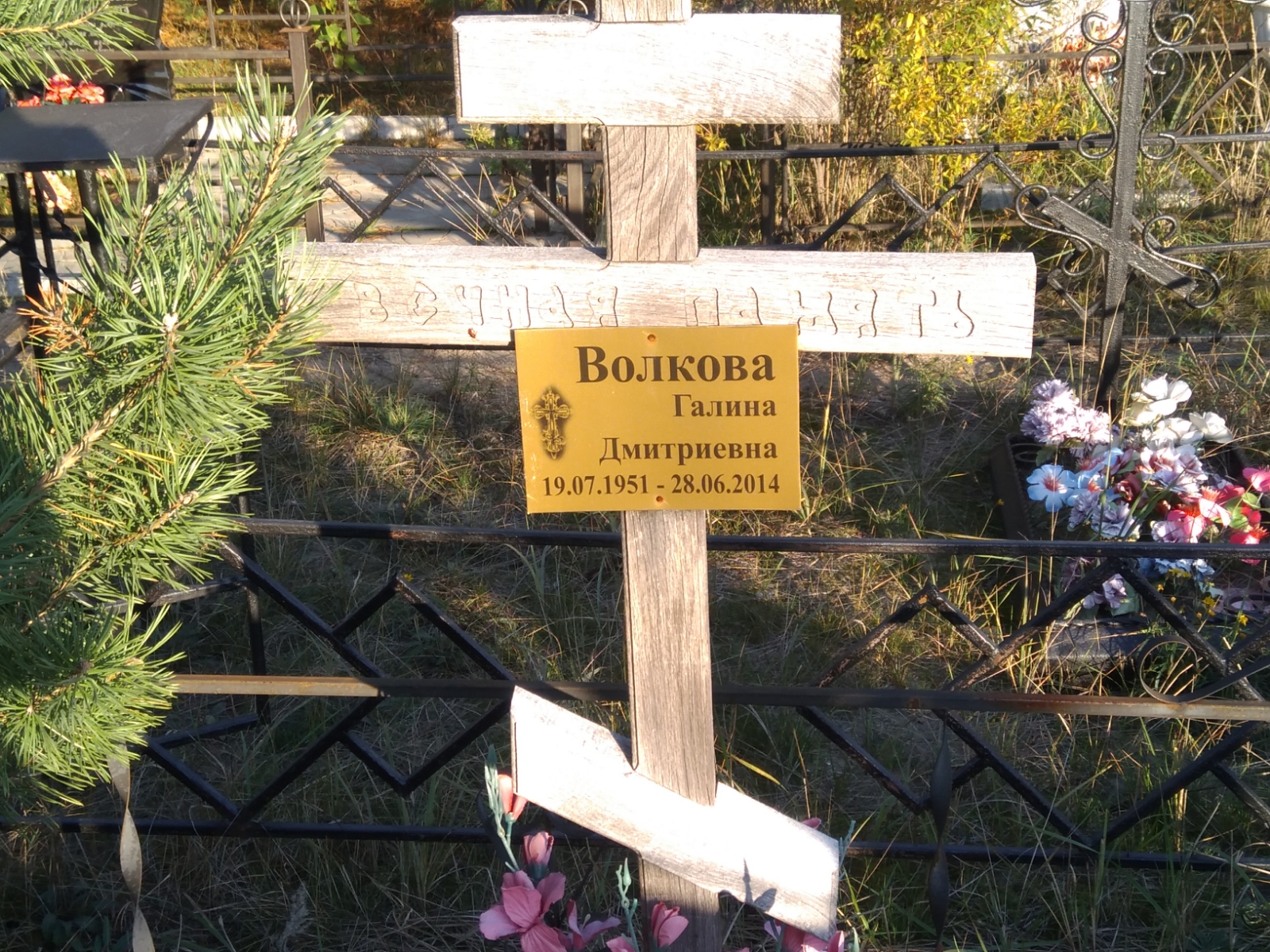 Волкова Галина Дмитриевна