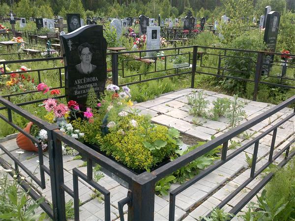 Аксенова Людмила Витальевна