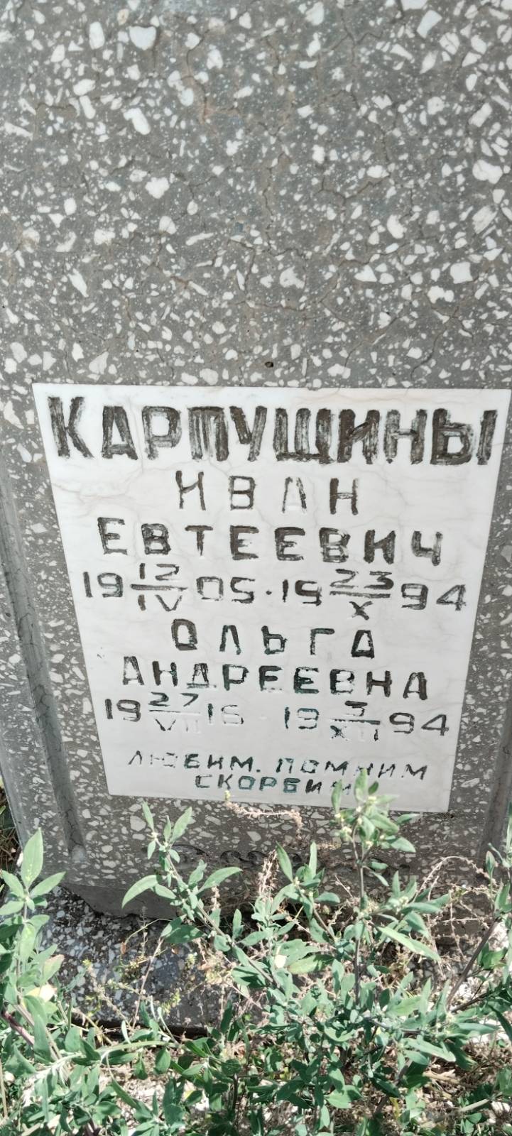 Карпушина Ольга Андреевна