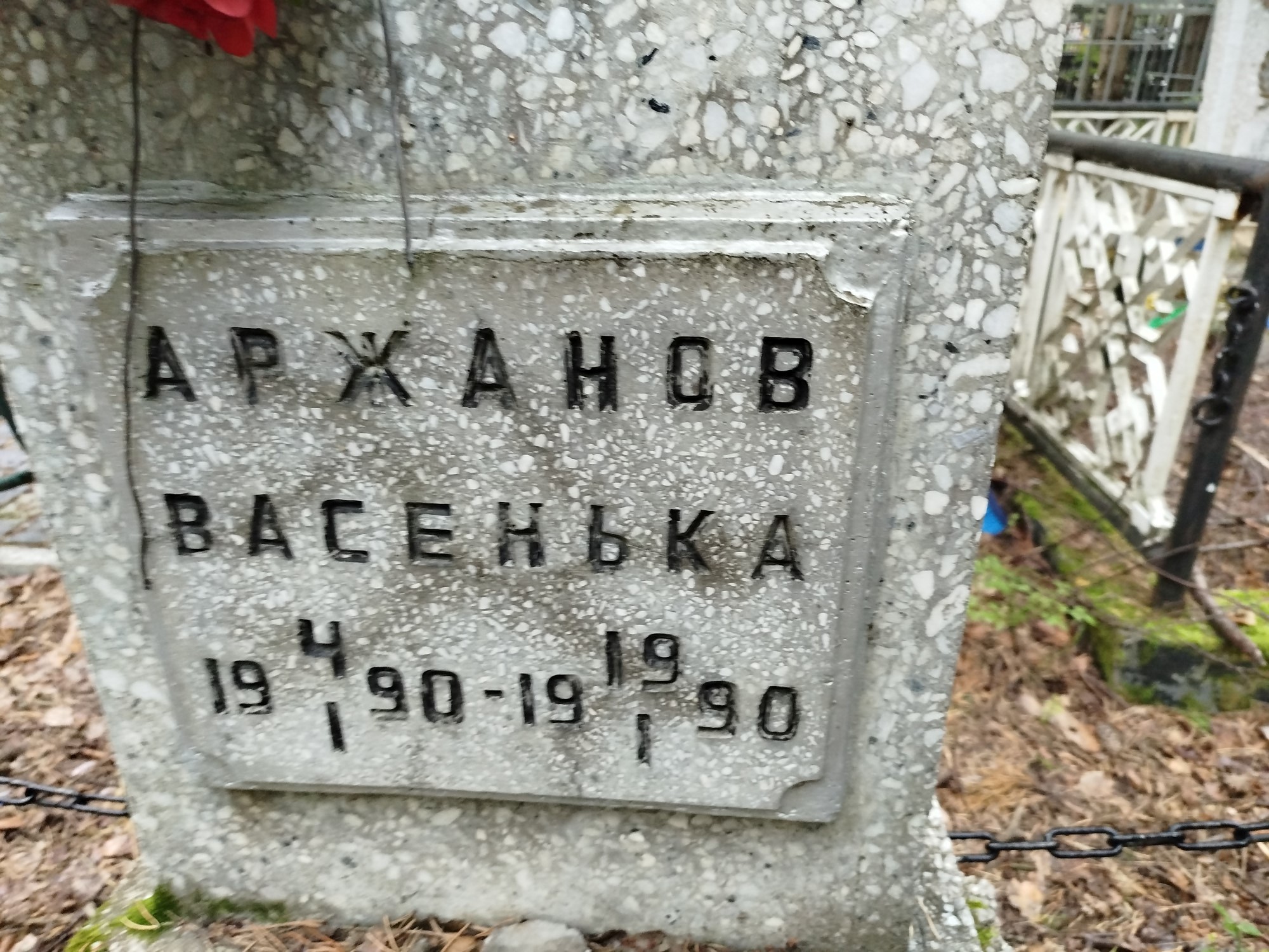 Аржанов Васенька
