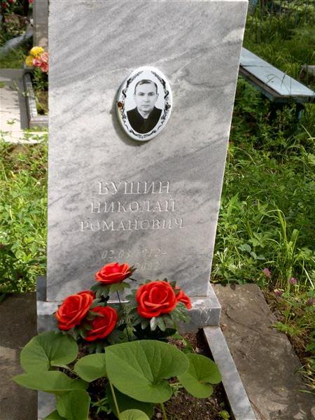 Бушин Николай Романович