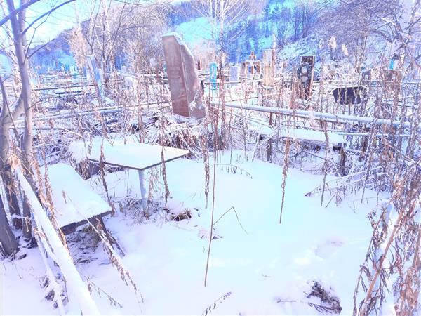 Спиридонов Виктор Иванович