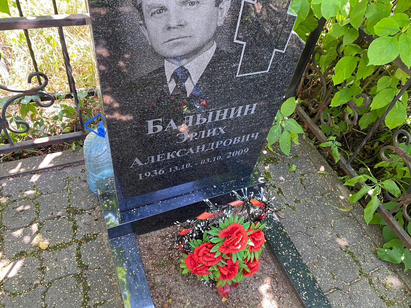 Эрлих Балынин Александрович
