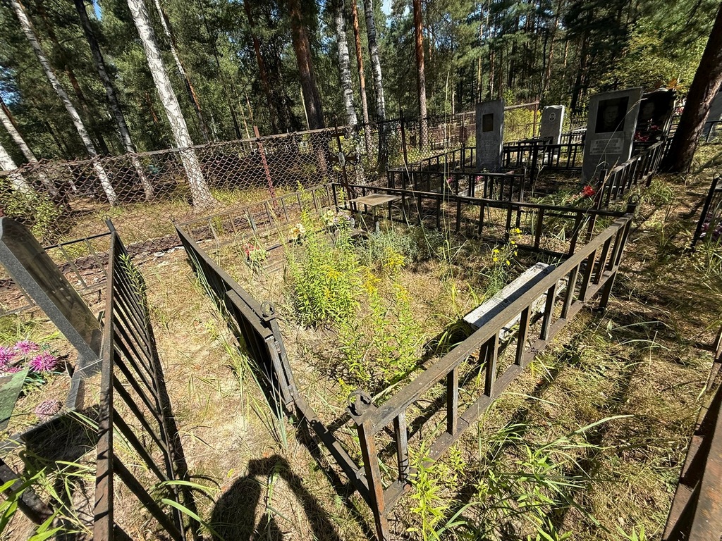 Горшенкова Анастасия Александровна