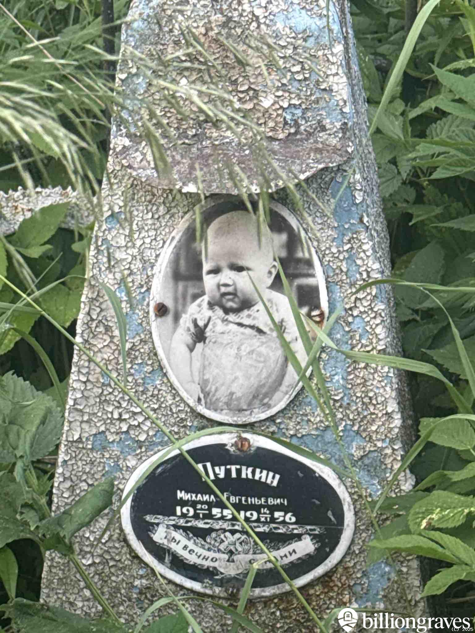 Путкин Михаил Евгеньевич