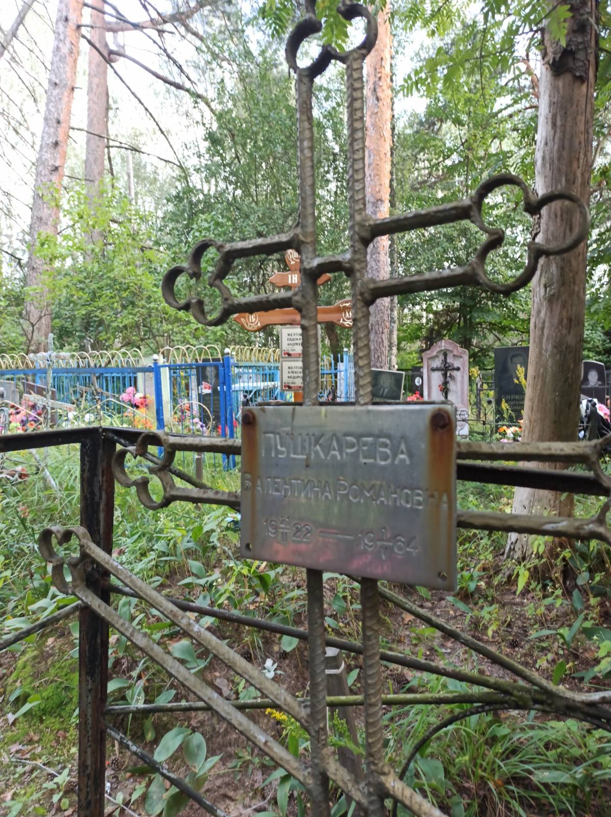 Пушкарева Валентина Романовна