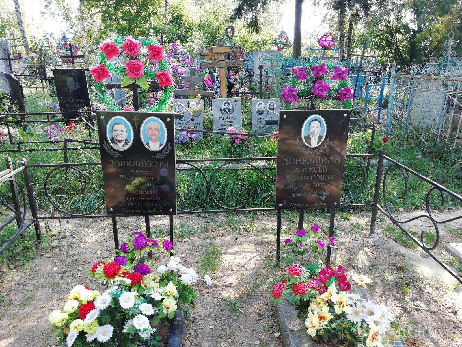 Донюшкина Анна Дмитриевна