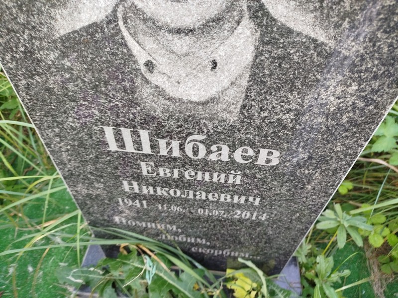 Шибаев
