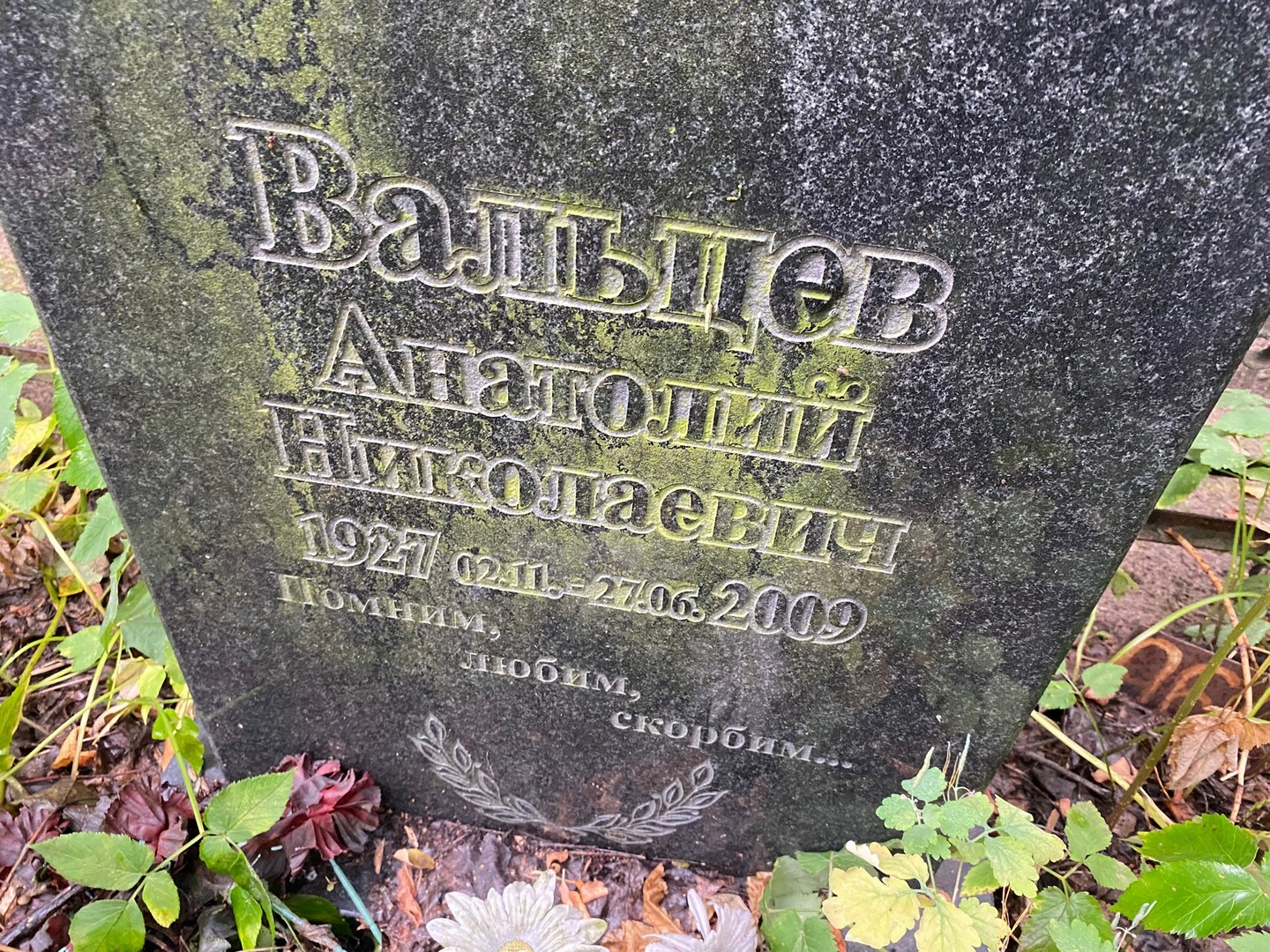 Вальцев