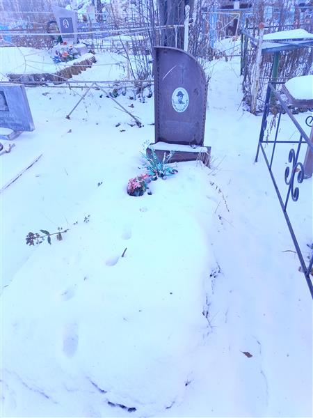 Алексеев Никита Клементьевич