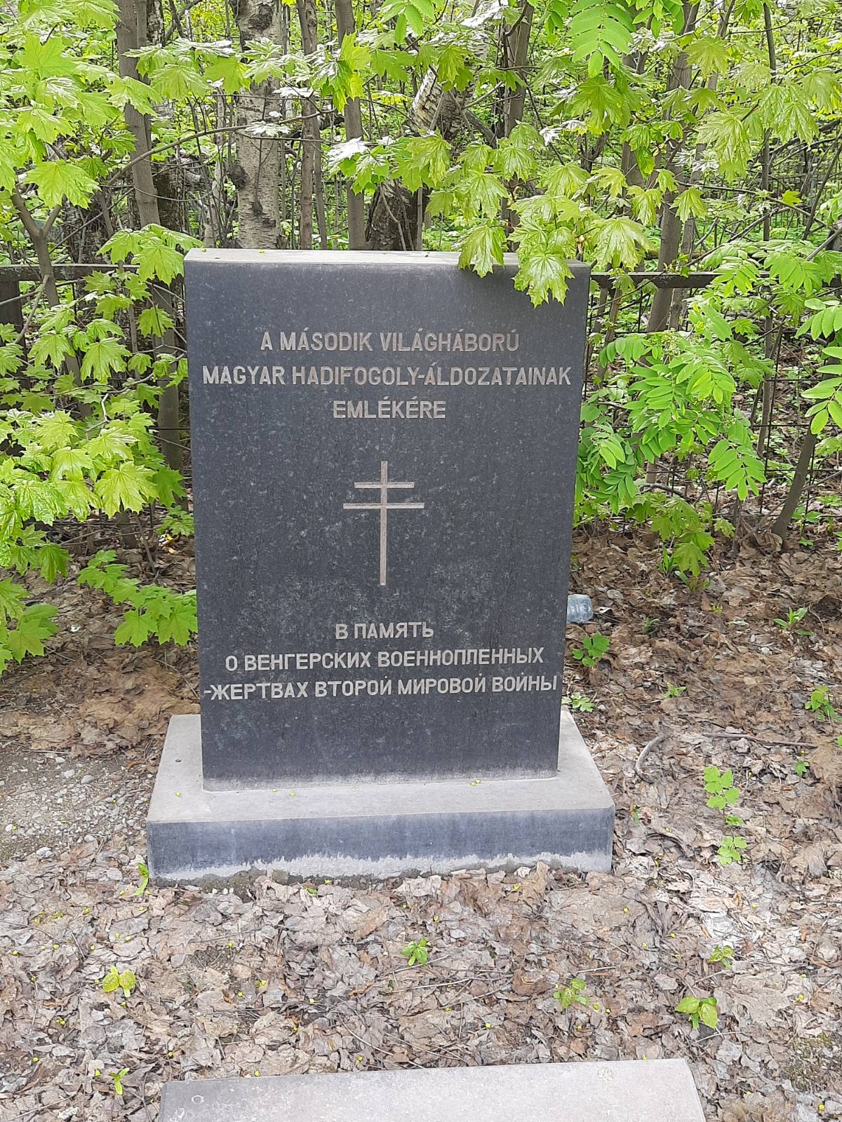 Farkas Zoltan