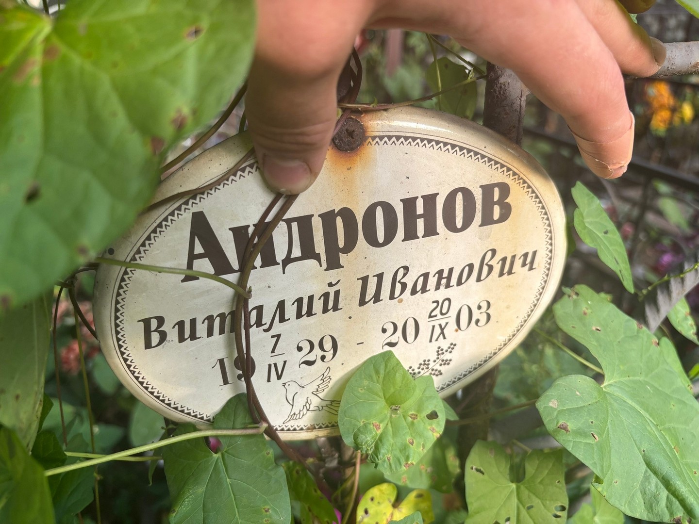 Андронов