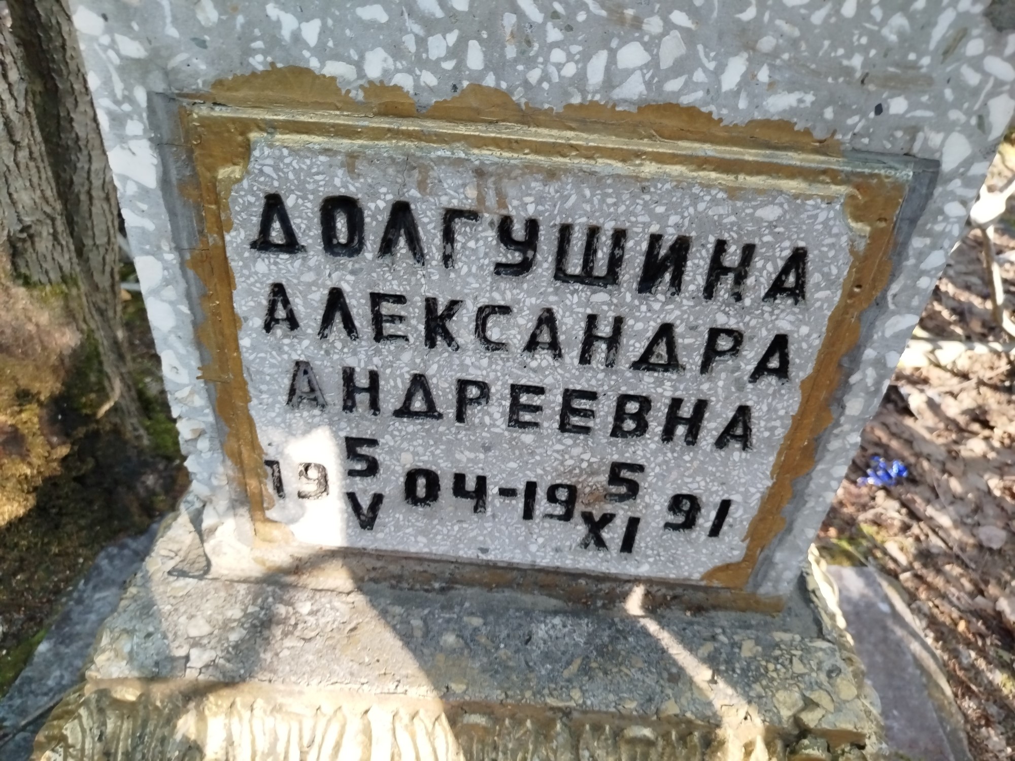 Долгушина Александра Андреевна