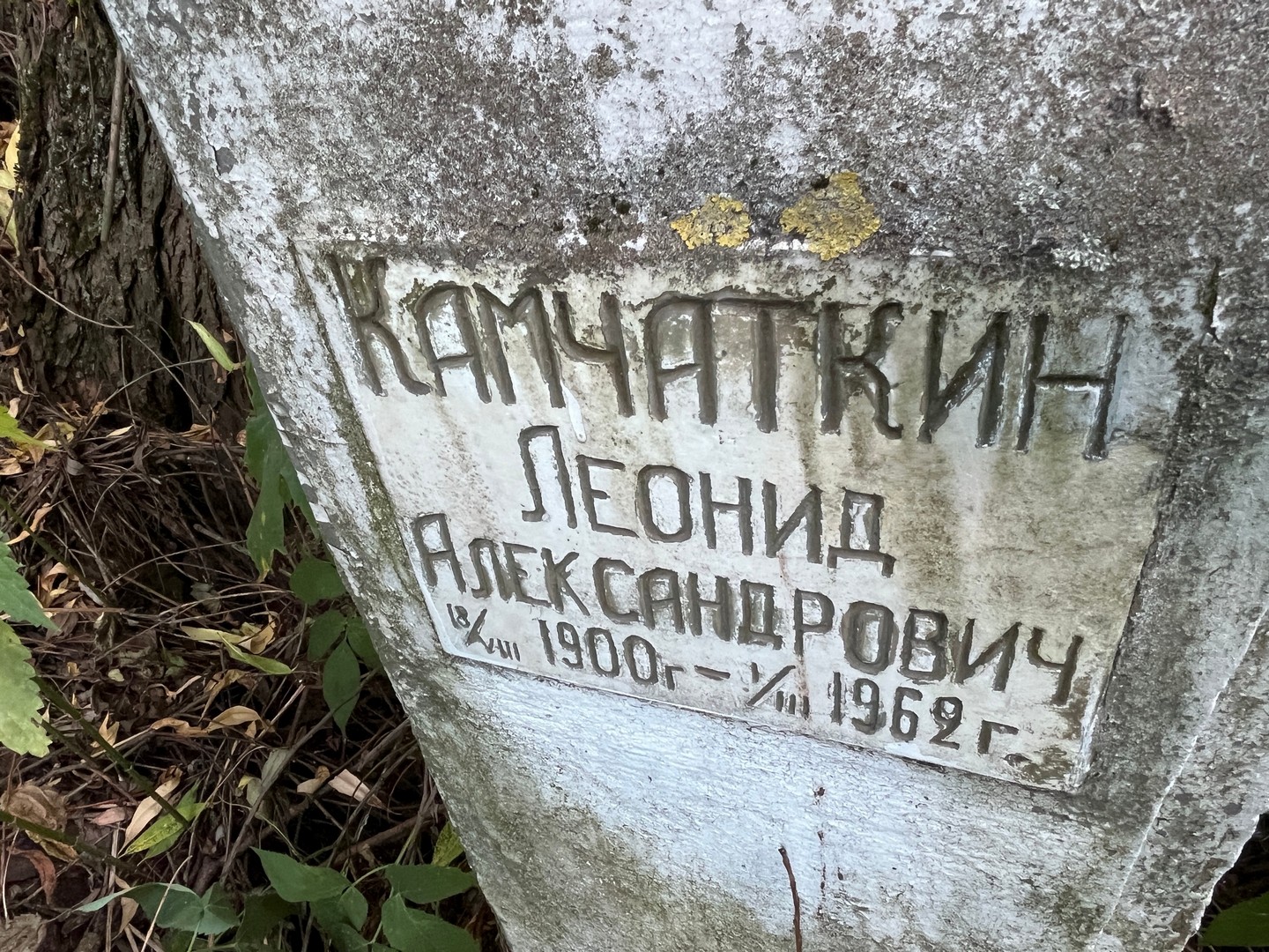 Камчаткин