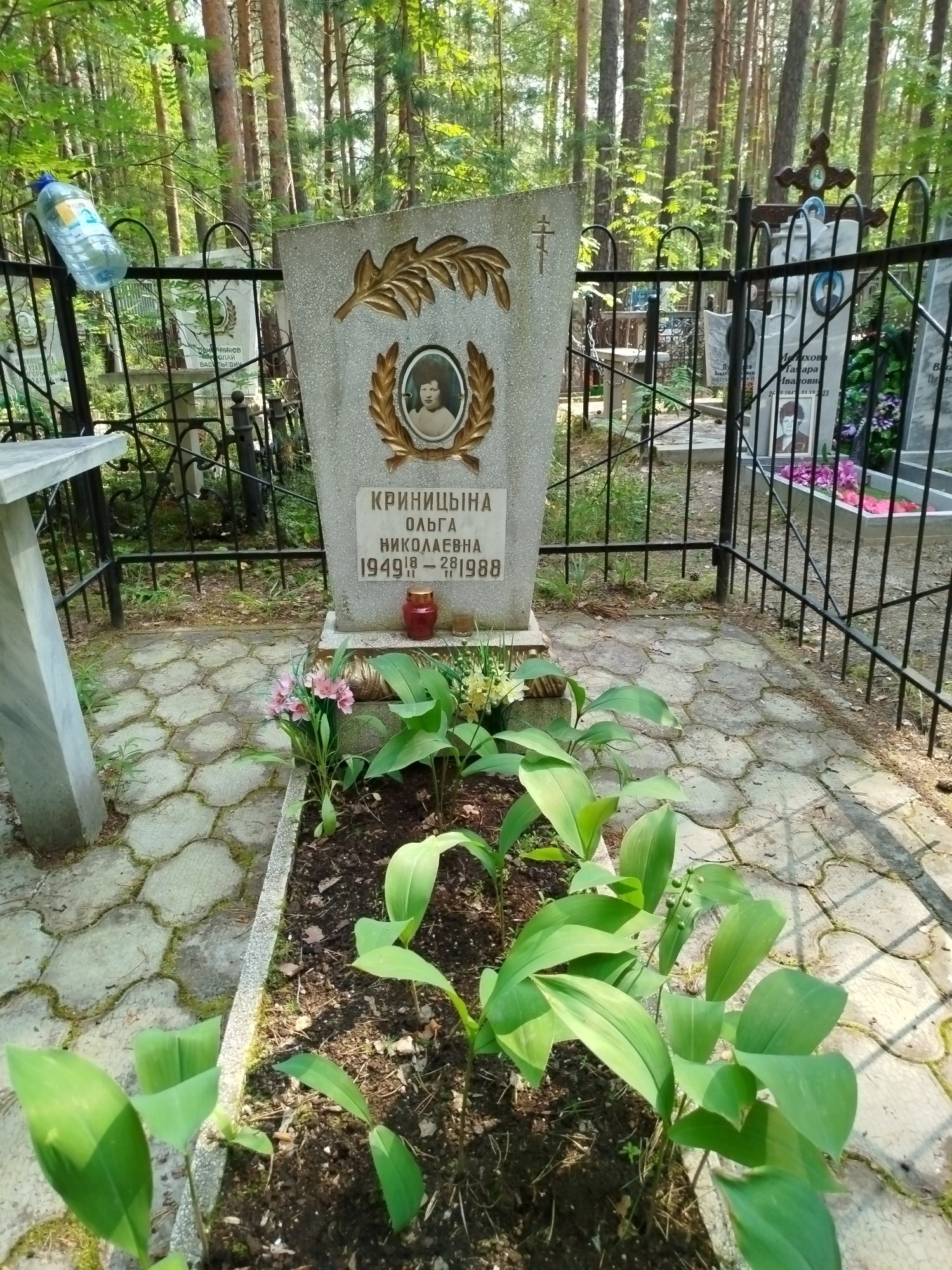 Криницына Ольга Николаевна