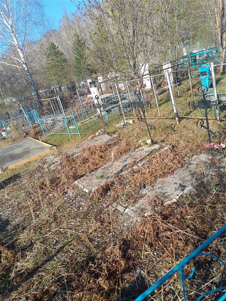 Сапронов Дмитрий Андреевич
