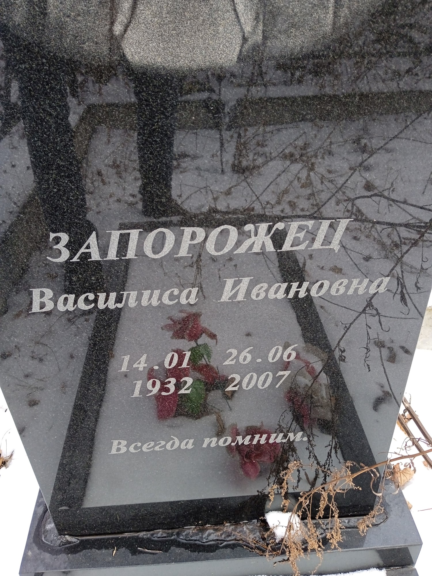 Запорожец Василиса Ивановна