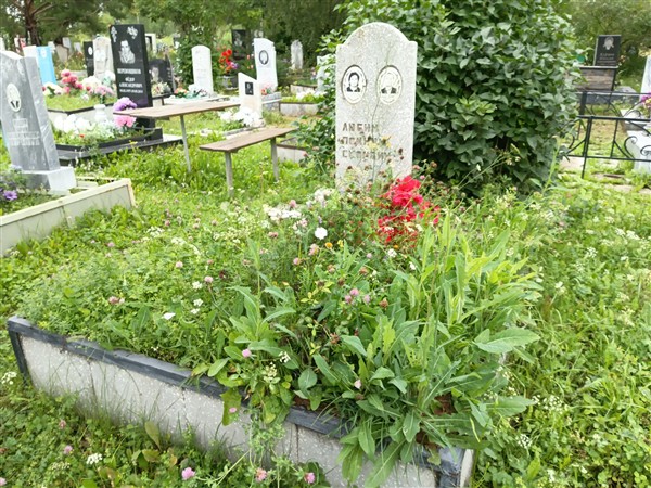 Гусев Виталий Степанович