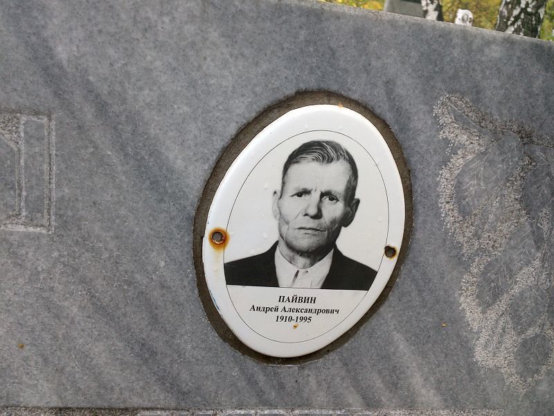 Пайвин
