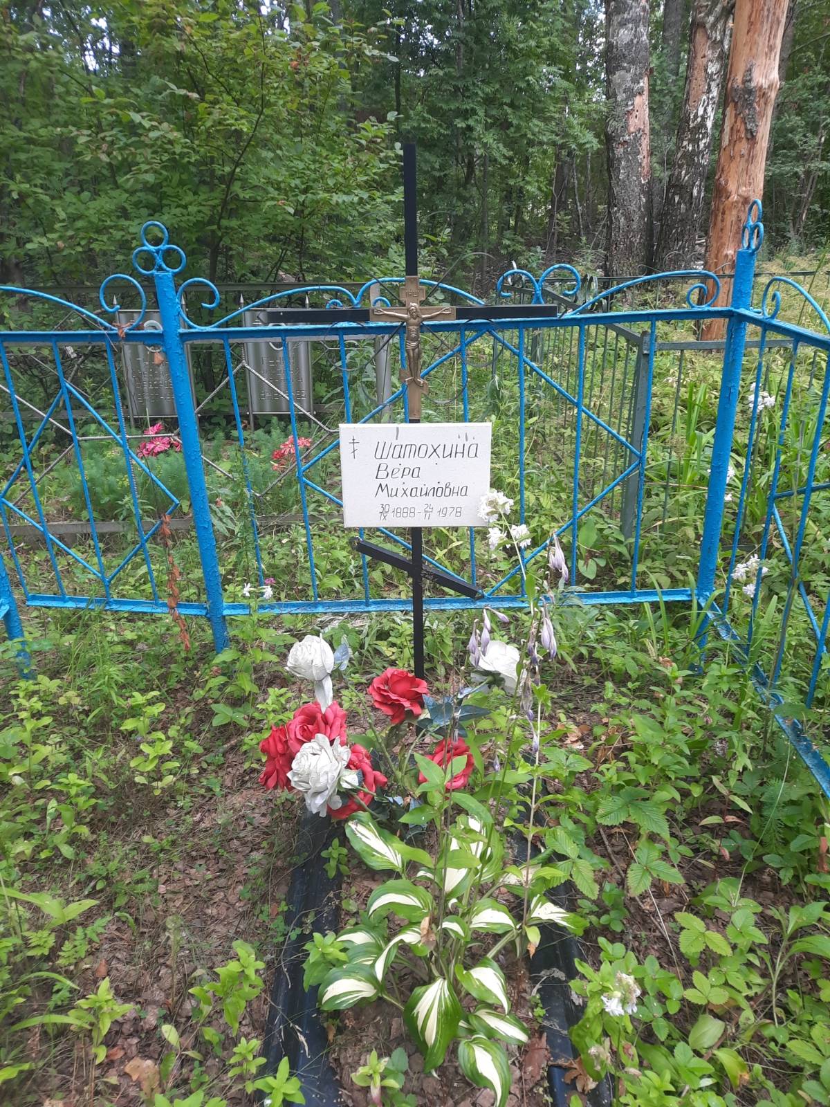 Шатохина Вера Михайловна