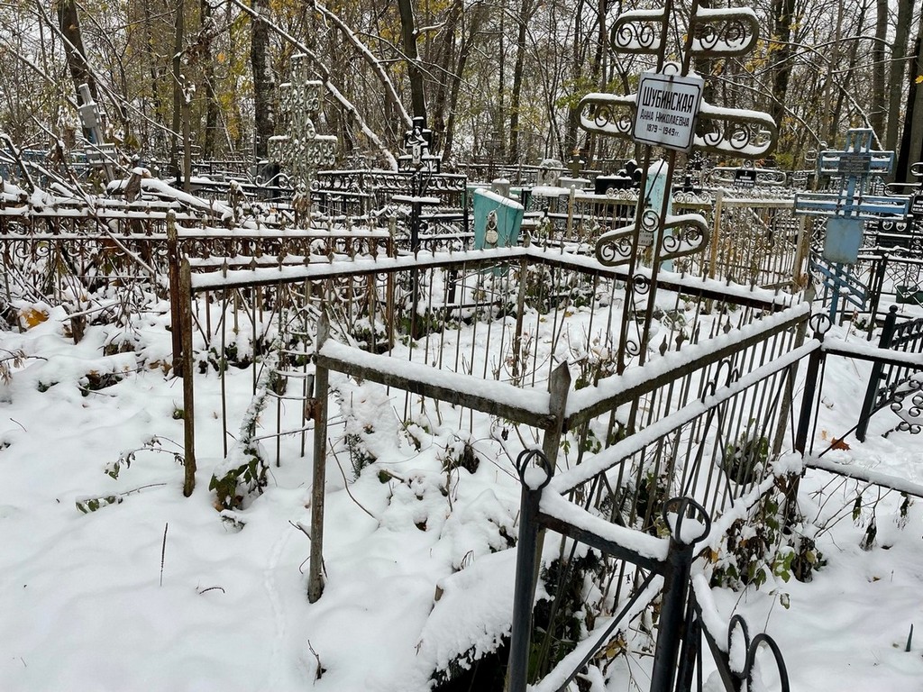Шубинская Анна Николаевна