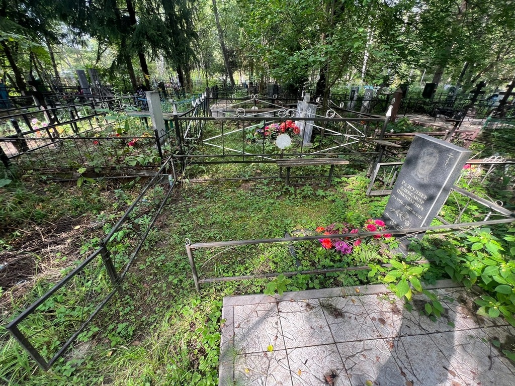 Разгуляев Александр Николаевич