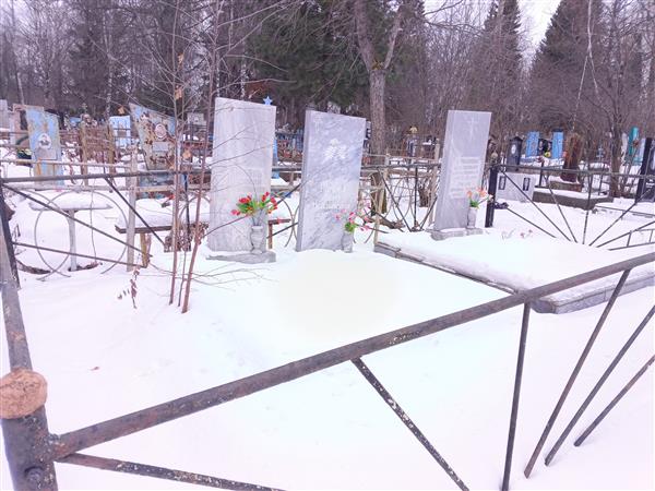 Спицин Александр Михайлович