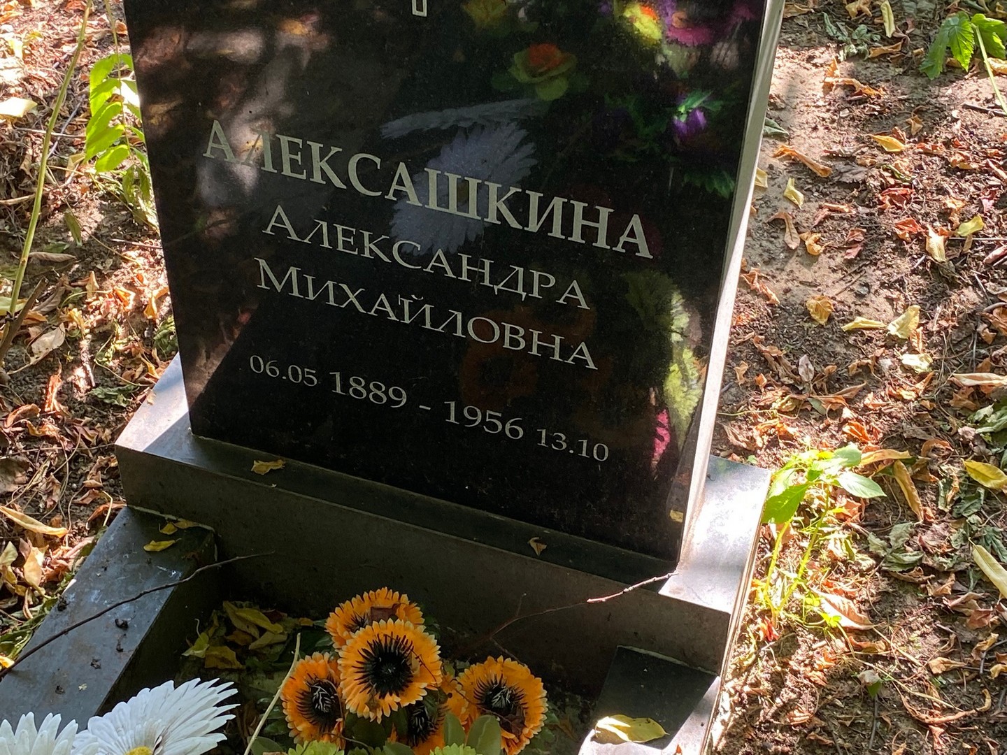 Алексашкина Александра Михайловна