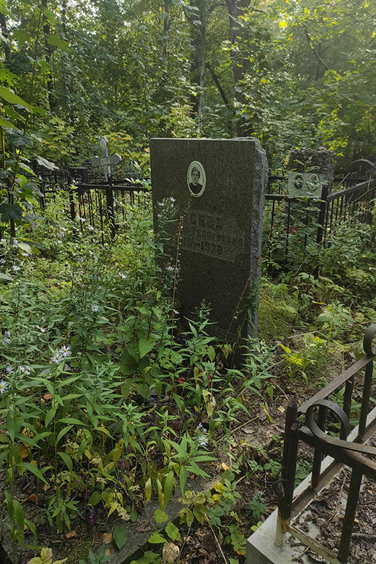 Лосева Татьяна Георгиевна