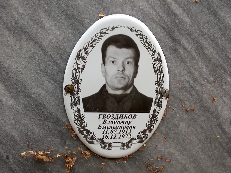 Гвоздиков
