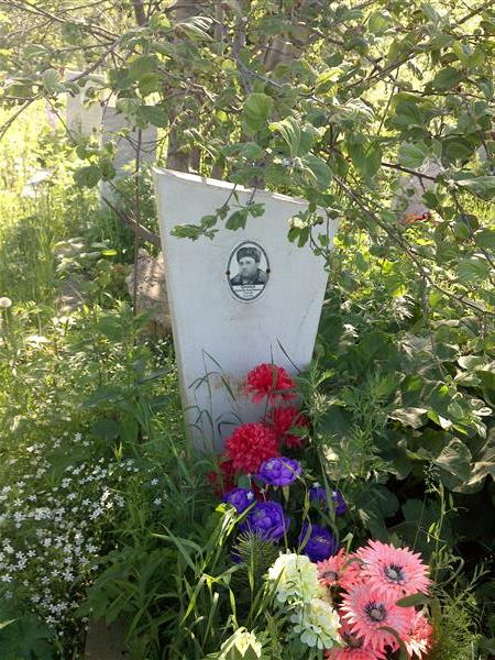 Брюшков Владимир Александрович