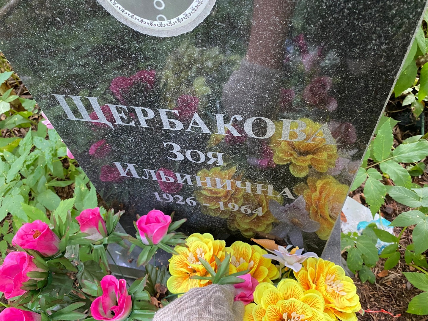 Щербакова