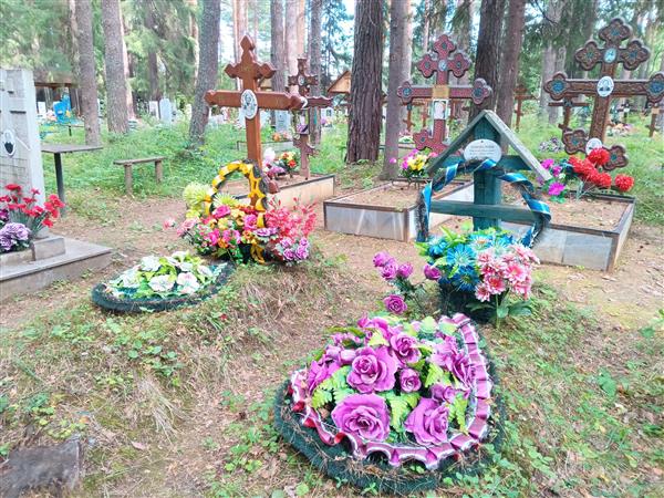 Коновалова Ульяна Николаевна