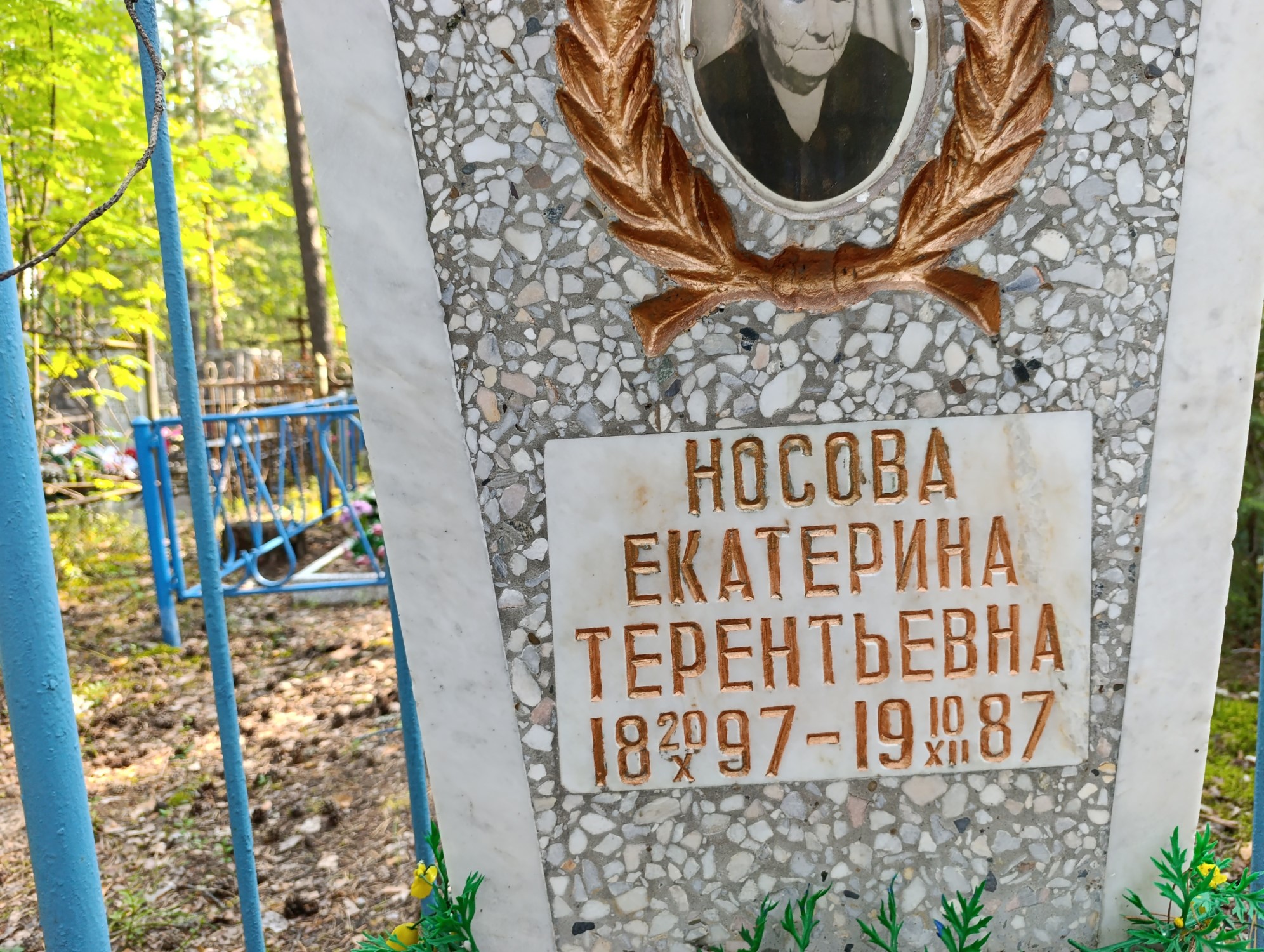 Носова Екатерина Терентьевна