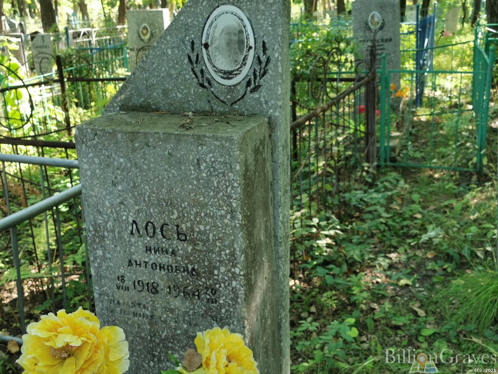 Лось Нина Антоновна