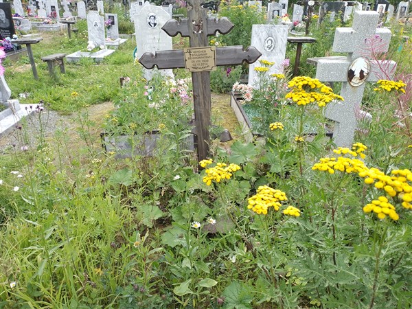 Черенев Владимир Вениаминович
