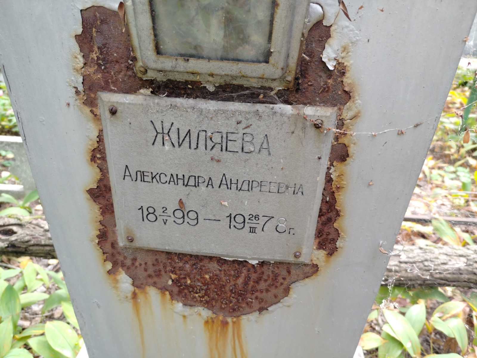 Жиляева Александра Андреевна
