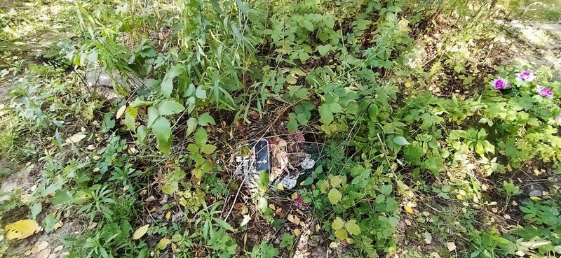 Грезин Николай Анатольевич