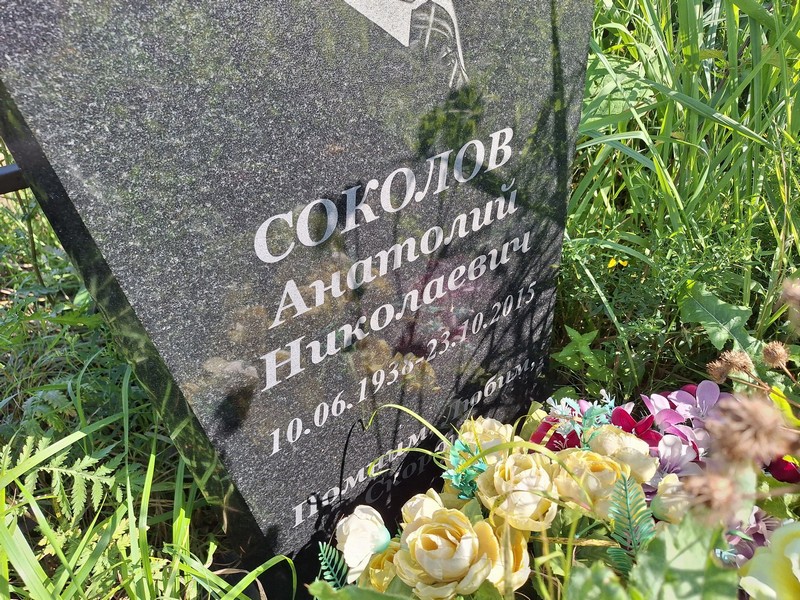 Соколов