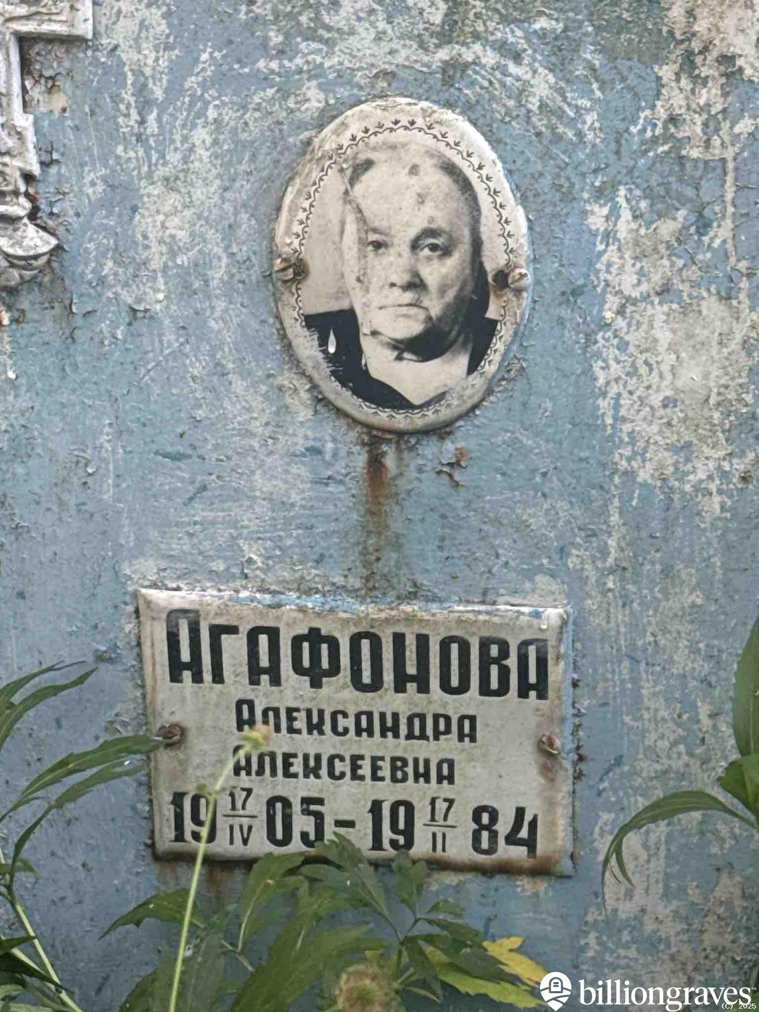 Агафонова Александра Алексеевна