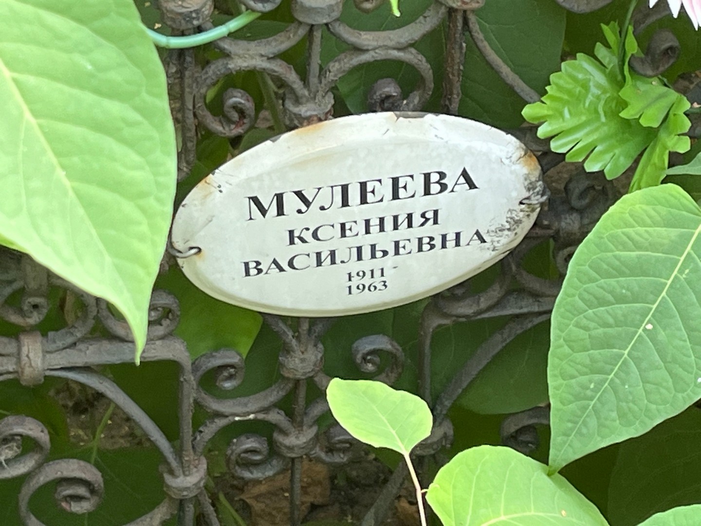 Мулеева
