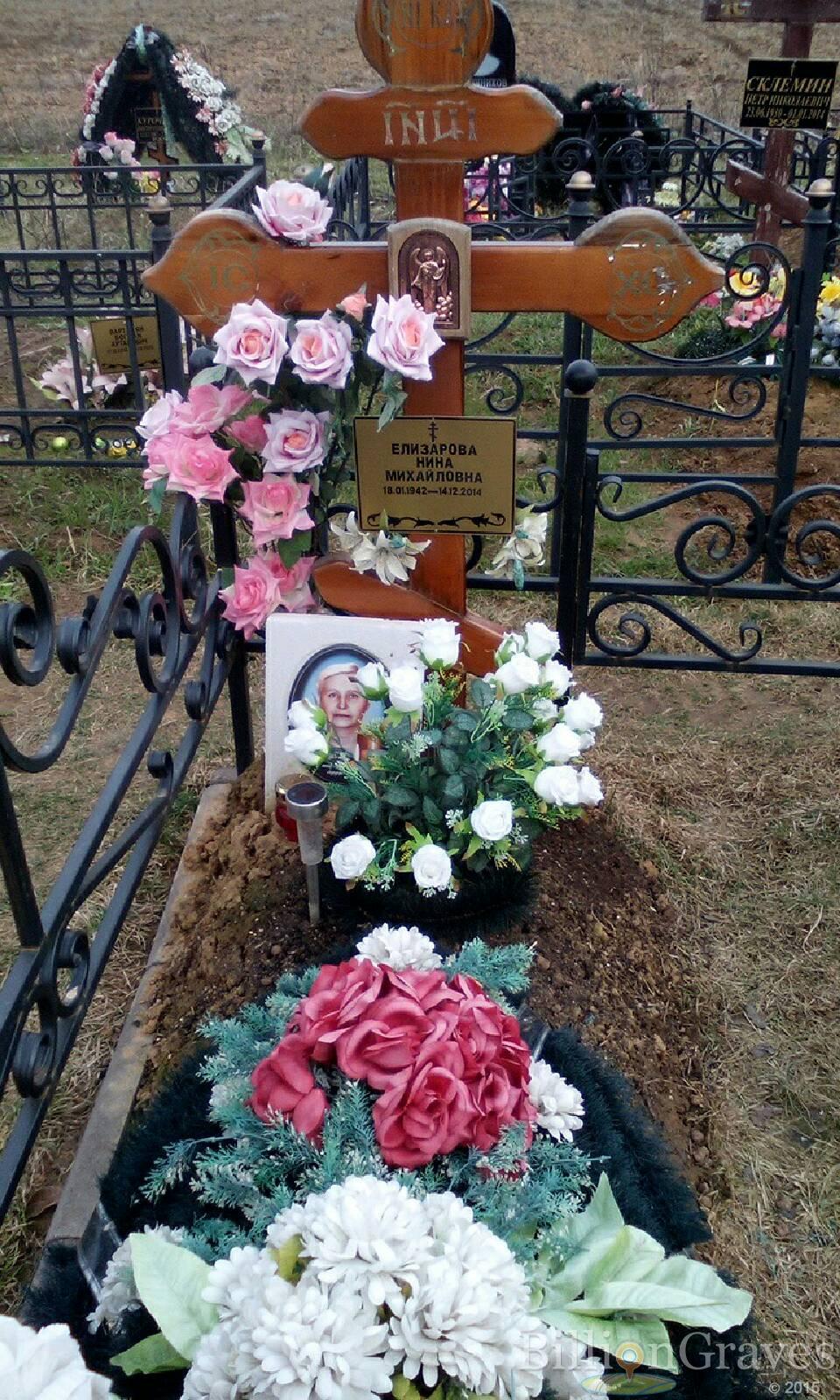 елизарова нина михайловна
