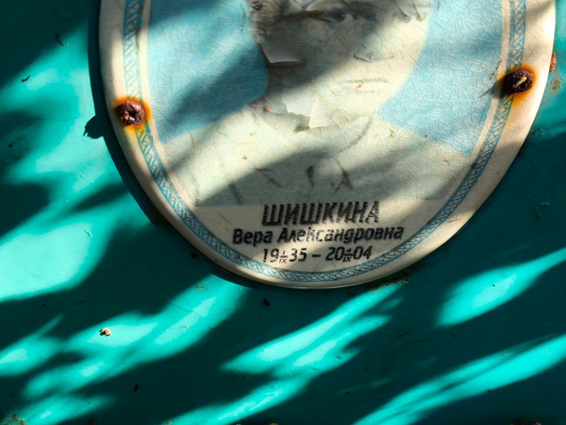 Шишкина
