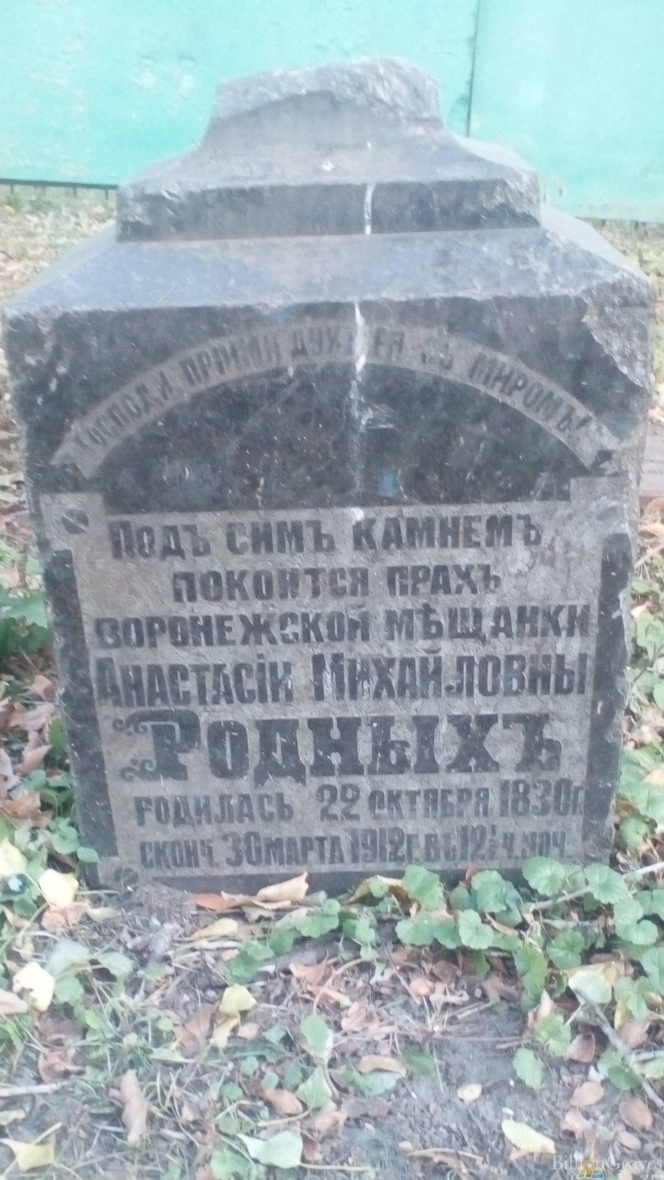 Родных Анастасия Михайловна