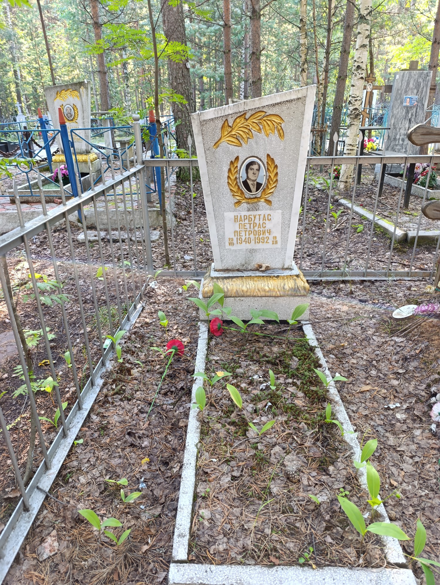 Нарбутас Петрас Петрович