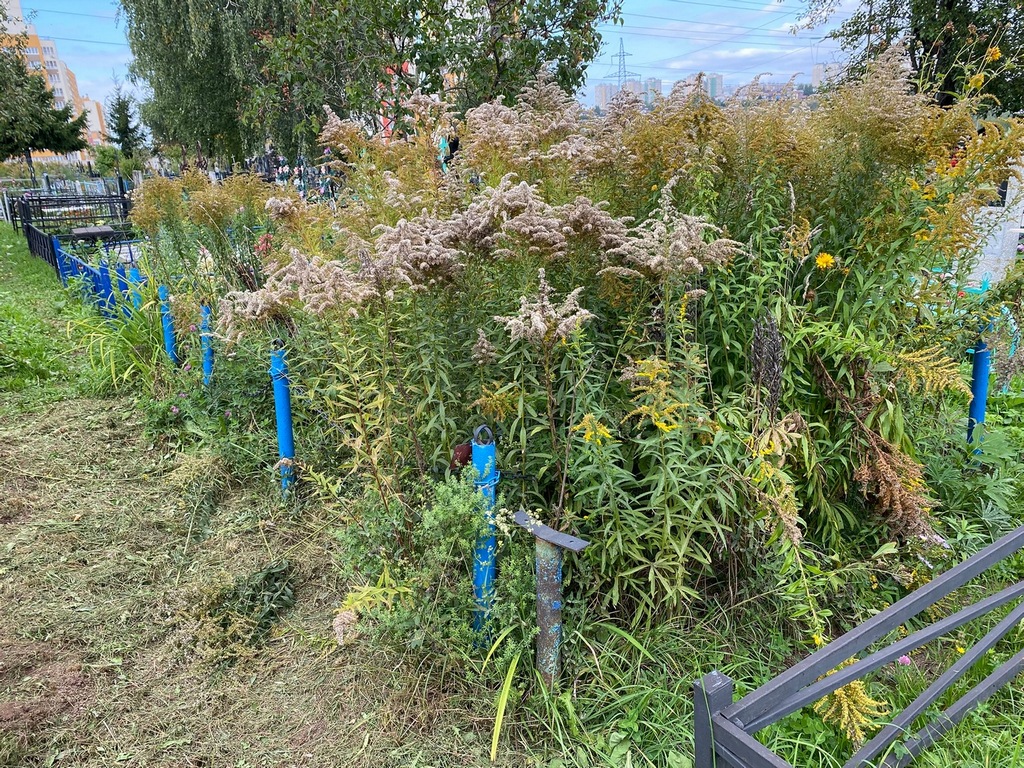 Пальгуева Нина Александровна