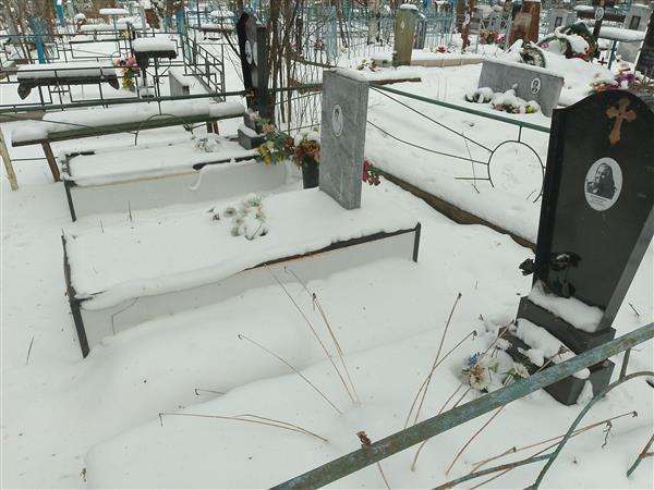 Дмитриев Сергей Васильевич