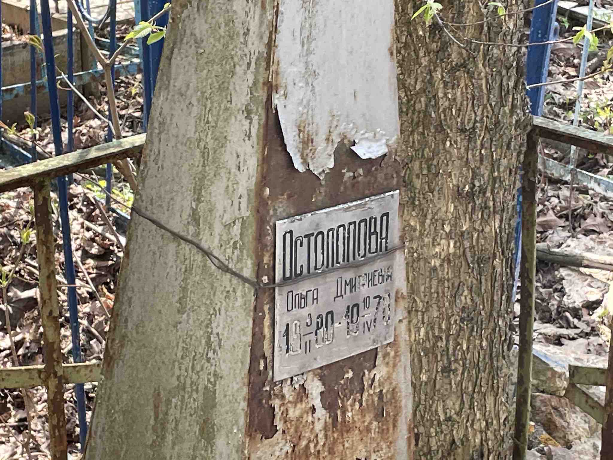 Остолопова Ольга Дмитриевна