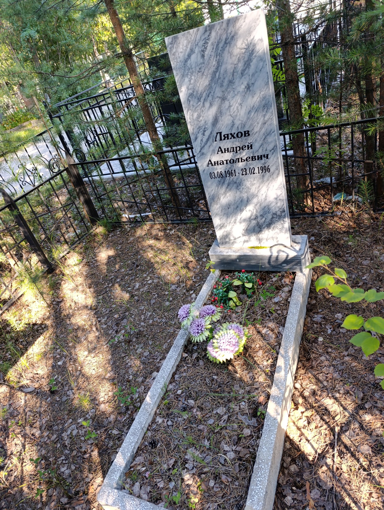 Ляхов Андрей Анатольевич